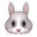🐰