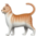 🐈