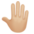 🤚🏼