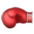 🥊