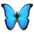 🦋