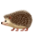 🦔