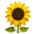 🌻