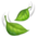 🍃
